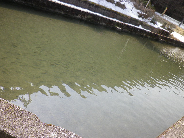 やまの路 みず沢 name=