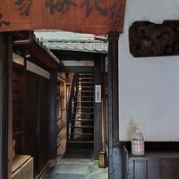 雪梅花 菜根譚 - 