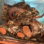 四季の味・奴 - 