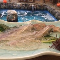 河太郎 中洲本店 - イカの活き造り登場！