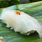 亀庄寿司 - シマアジ