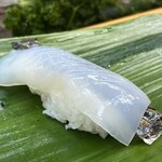 亀庄寿司 - ヤリイカ