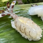 亀庄寿司 - 活車海老