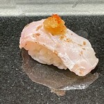 鮨と天草大王 天音 - 白甘鯛