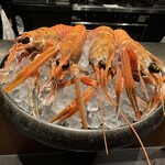 Restaurant DESTINA - 