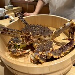 銀座 蟹 あかつき - 