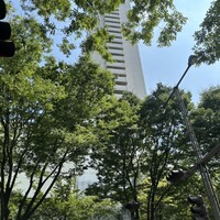 オーロラ - 