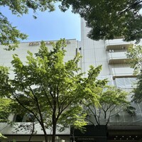 オーロラ - 