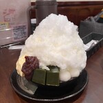 おしゃべりな亀 - 