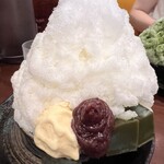 おしゃべりな亀 - 