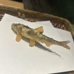 みかわ 是山居 - 