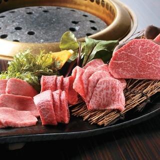 Selected [A5 rank Japanese black beef]