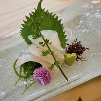 割烹 むら山 - メイチ鯛の刺身