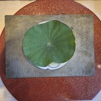 横浜 星のなる木 - 