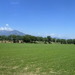 Antica Pasticceria Castino - 往路、グラスフェッド用の初夏の牧草が刈られていた