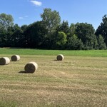 Antica Pasticceria Castino - 復路の車窓から