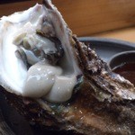 寿司割烹 魚紋 - 岩牡蠣