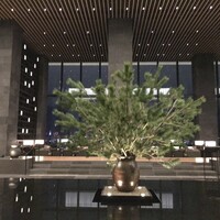 アルヴァ(アマン東京) - 