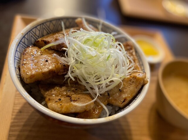 元祖豚丼屋 TONTON 八乙女店 - 八乙女（豚丼）の写真