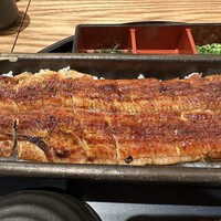 うなぎ四代目菊川 ミッドランドスクエア 名古屋本店 - 