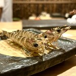 池田紘三 - 車海老