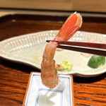 池田紘三 - 牡丹海老