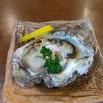 釜めし菜時記 さき亭 - 島根産岩ガキ950円、身が痩せていて残念！