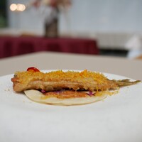 Ristorante TSUMU - 