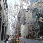 ラ・ボンヌターブル - 既に桜が満開でした