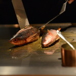 喜瀬 - タカサゴは一人一匹