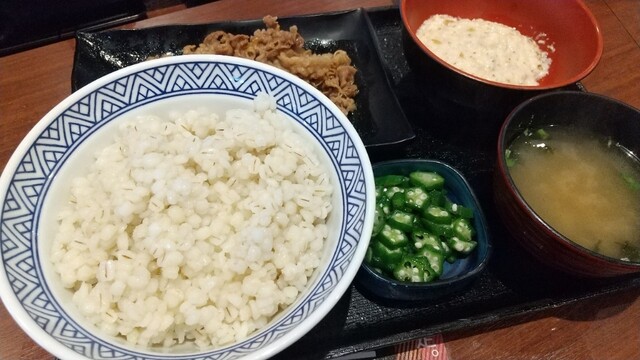 Yoshinoya Tsuruhashi Ekimae Ten photo 2