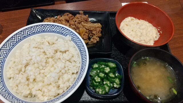 Yoshinoya Tsuruhashi Ekimae Ten