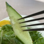 むっしゅカトウ - 