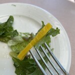 むっしゅカトウ - 