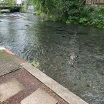 うなぎ いけだ - 三島　きれいな水を見て癒されます
