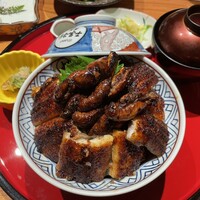 炭焼 うな富士 有楽町店 - 肝入り 上うなぎ丼、映える！
