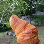 エグ・ヴィヴ - 