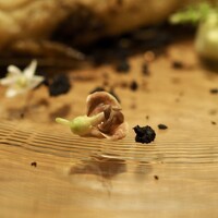 Chez Tetsu - 