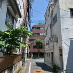 13 - 漸く早稲田通りに突き当たりました　左折します