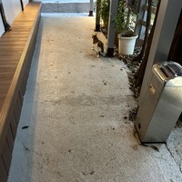 百済 - 