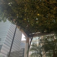 THE UPPER - 