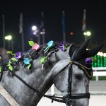 成田漬物本舗 - ミューチャリー