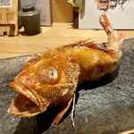 炭火焼き リリー 渋谷店 - 