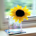 江戸そば マルノ - 内観