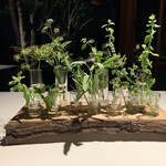 Breston Court Yukawatan