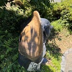 串焼き BUBU-TON - 