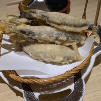WASHOKU SUSHI いぶき 銀座店 - 