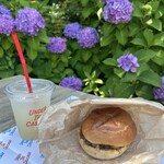 ​under the cascade - 