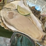 魚が旨い焼き鳥屋 六 - ちちこい生牡蠣特大サイズ