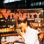 VINOSITY - VINOSITYパンフレット